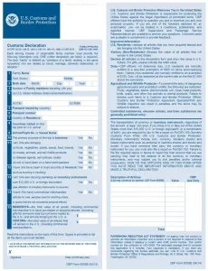 customs declaration form