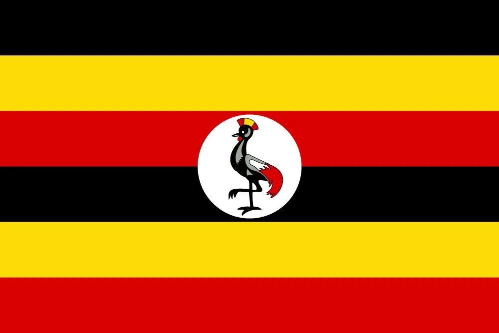 importing to uganda