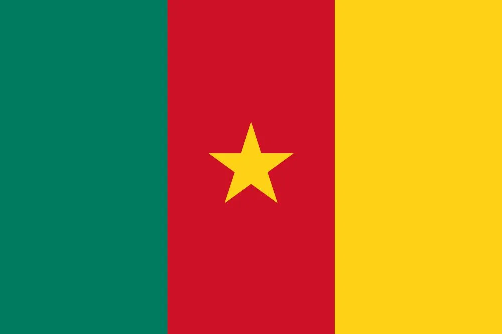 Importing to Cameroon