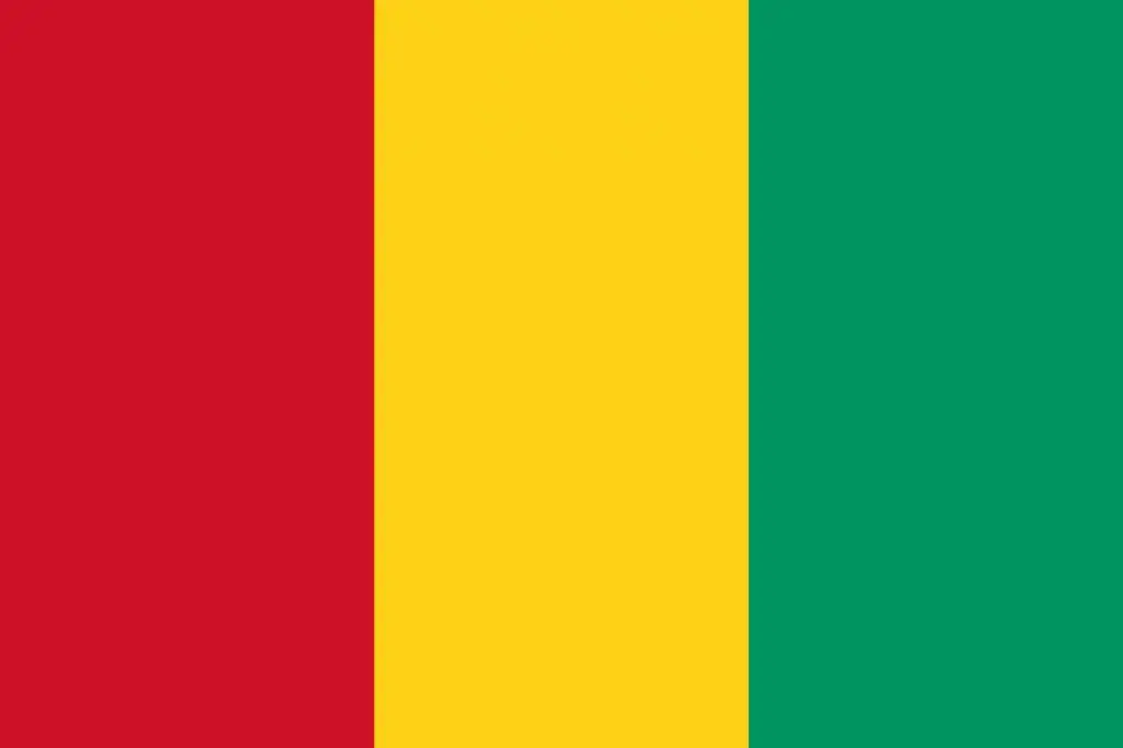 Importing to Guinea