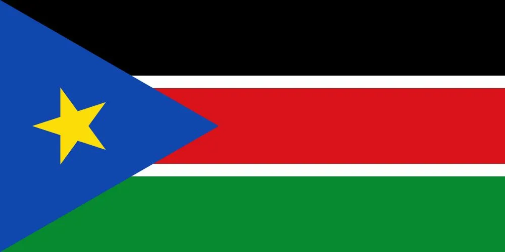 Importing To South Sudan